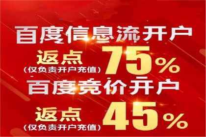 百度SEM推广案例解析：成功秘诀大公开
