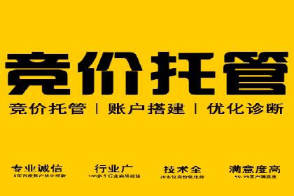 深入了解SEM托管在竞价推广中的应用——以一则经典案例为镜